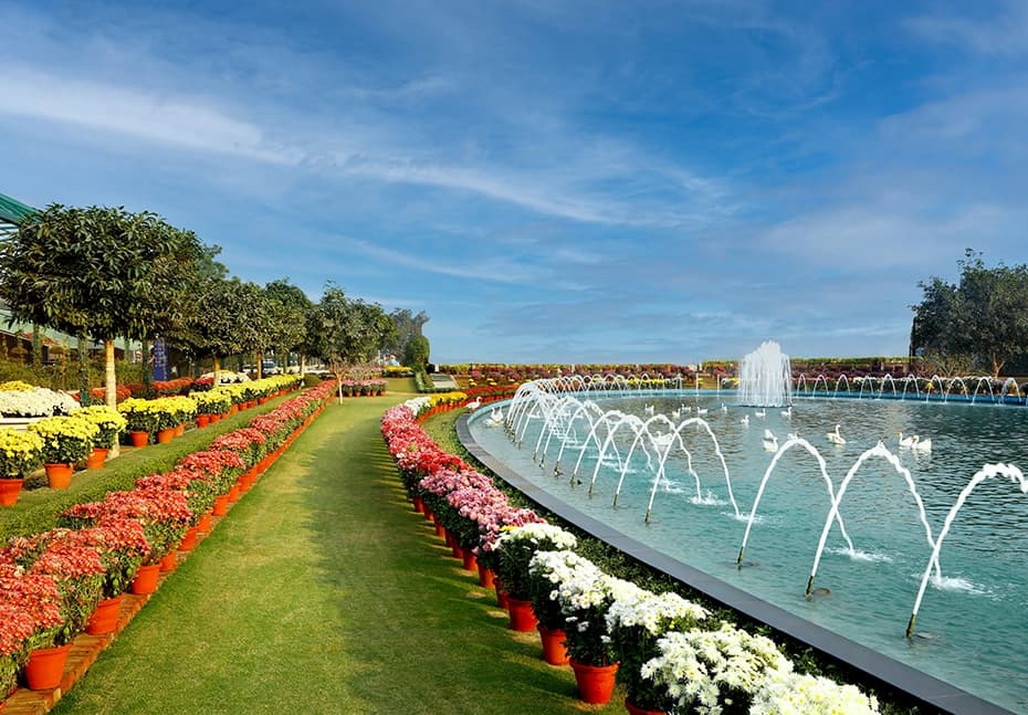 Central Park Flower Valley thumbnail 4